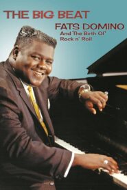 Fats Domino and The Birth of Rock ‘n’ Roll 2016 one on netflix