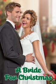 A Bride for Christmas 2012 one on netflix
