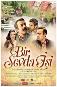 Bir Sevda İşi 2015 one on netflix