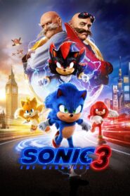 Sonic the Hedgehog 3 2024 one on netflix