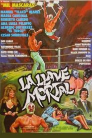 La llave mortal 1990 one on netflix