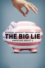 The Big Lie: American Addict 2 2016 one on netflix