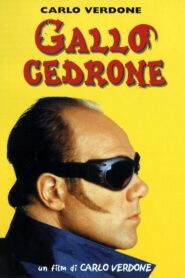 Gallo cedrone 1998 one on netflix