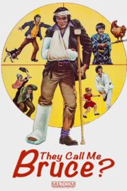 They Call Me Bruce? 1982 one on netflix