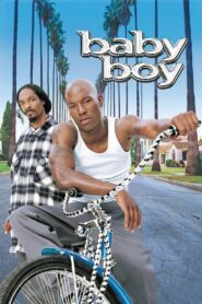 Baby Boy 2001 one on netflix