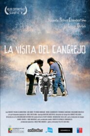 La Visita del Cangrejo 2012 one on netflix