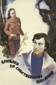 Love by Request 1982 one on netflix