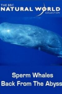 Sperm Whales: Back from the Abyss 1996 one on netflix