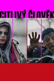 A Sensitive Person 2023 one on netflix