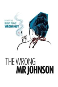 The Wrong Mr. Johnson 2009 one on netflix