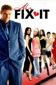 Mr. Fix It 2006 one on netflix