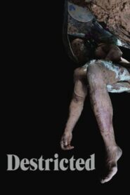 Destricted 2006 one on netflix