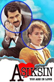 You Are in Love 1988 one on netflix