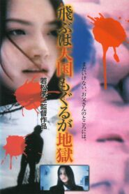 Heaven and Hell 1999 one on netflix