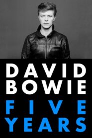 David Bowie: Five Years 2013 one on netflix