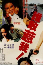 Who Dare Challenge Me 1981 one on netflix