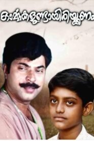Ormakalundayirikkanam 1995 one on netflix