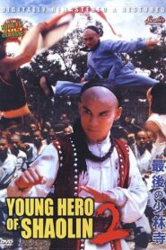The Young Hero of Shaolin II 1986 one on netflix