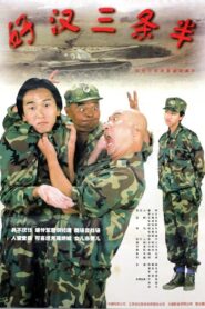 好汉三条半 1998 one on netflix