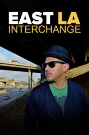 East LA Interchange 2015 one on netflix