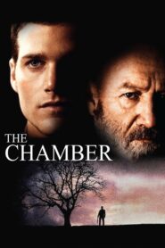 The Chamber 1996 one on netflix