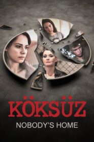 Nobody’s Home 2013 one on netflix