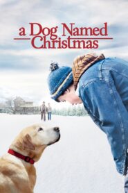 A Dog Named Christmas 2009 one on netflix