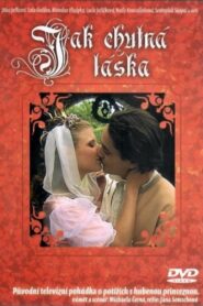 Jak chutná láska 2002 one on netflix