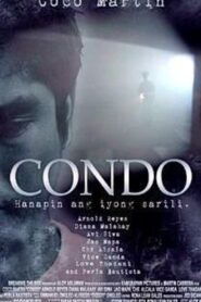Condo 2008 one on netflix