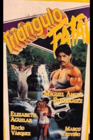 Triángulo Fatal 1994 one on netflix
