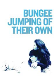 Bungee Jumping of Their Own 2001 one on netflix
