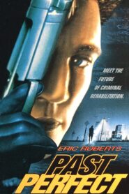 Past Perfect 1996 one on netflix