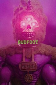 Budfoot 2019 one on netflix