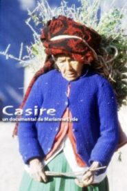 Casire 1980 one on netflix