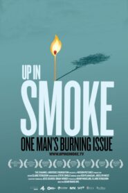 Up in Smoke 2011 one on netflix