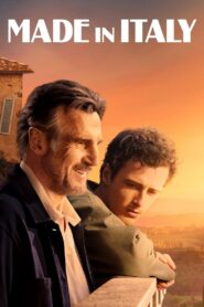 Made in Italy 2020 one on netflix