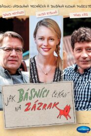 Jak básníci čekají na zázrak 2016 one on netflix
