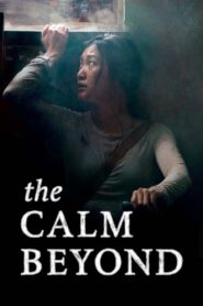 The Calm Beyond 2020 one on netflix