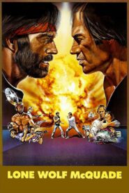Lone Wolf McQuade 1983 one on netflix