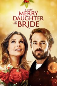 A Very Merry Daughter of the Bride 2008 one on netflix