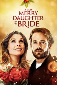 A Very Merry Daughter of the Bride 2008 one on netflix