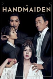 The Handmaiden 2016 one on netflix