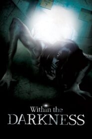 Within the Darkness 2013 one on netflix