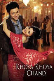 Khoya Khoya Chand 2007 one on netflix