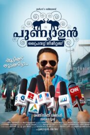Punyalan Private Limited 2017 one on netflix