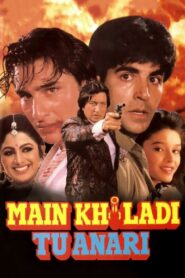 Main Khiladi Tu Anari 1994 one on netflix