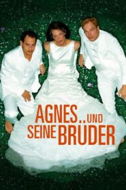 Agnes and His Brothers 2004 one on netflix