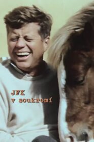 JFK: The Private President 2013 one on netflix