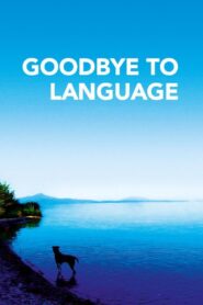 Goodbye to Language 2014 one on netflix