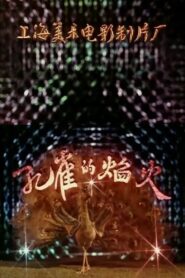 孔雀的焰火 1982 one on netflix